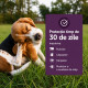 Vectra 3D – Antiparazitar Extern pentru Câini între 1,5–4 kg, 3 Pipete – Ceva Santé Animale